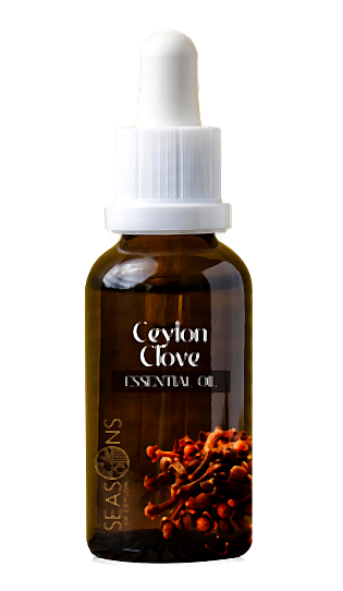 Ceylon Ginger Oil