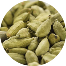 Cardamom